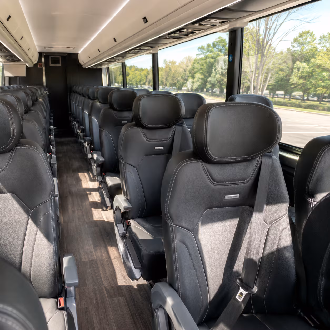 aurora long distance transportation onboard seating